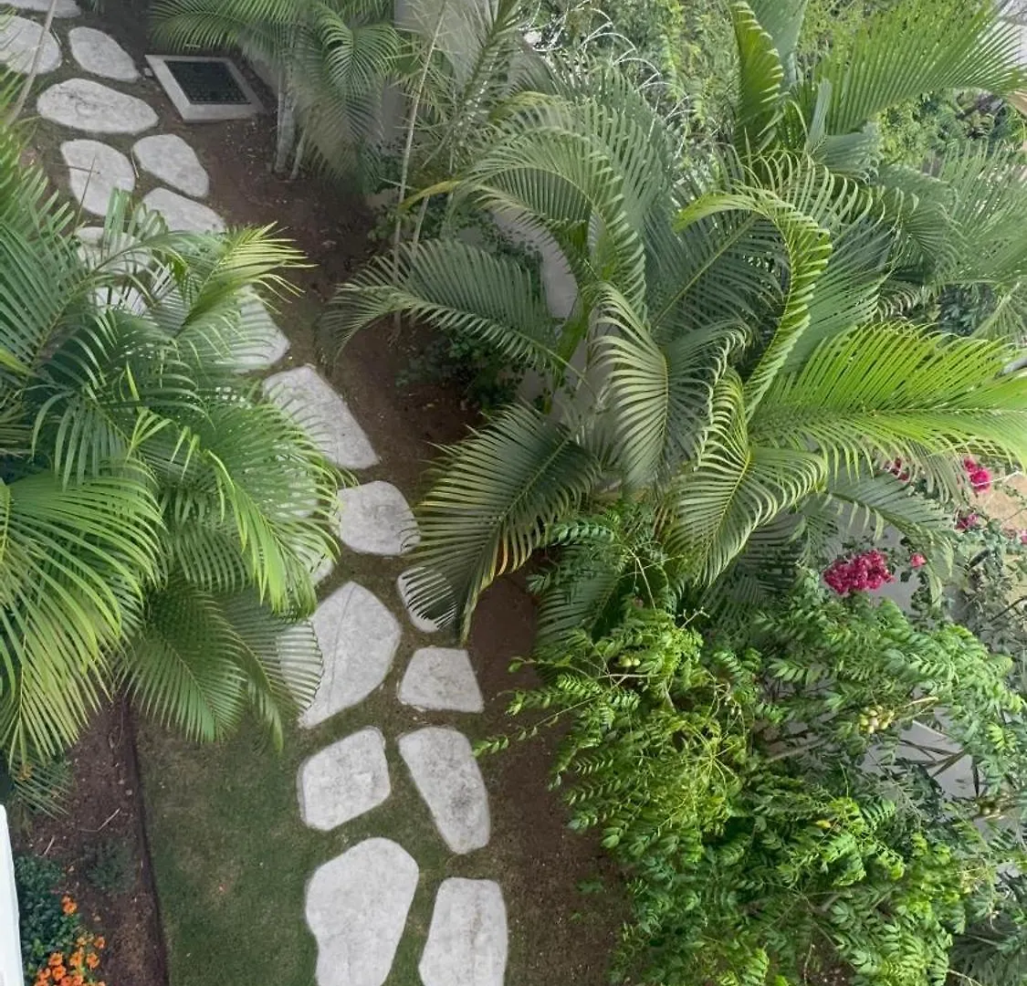 City Abode Kingston Jamaica شقة